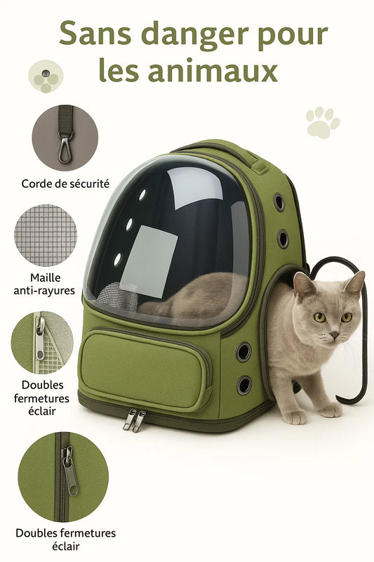 Sac de Transport Transparent pour Chat